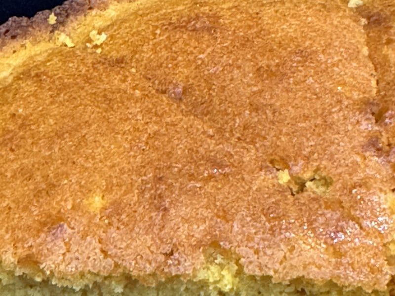 Cliquez pour zoomer ! Gâteau à la clémentine Thermomix par Christine Fassiaux