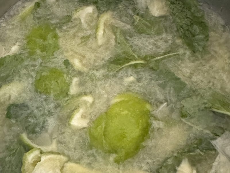 Cliquez pour zoomer ! Mojito Thermomix par Christine Fassiaux