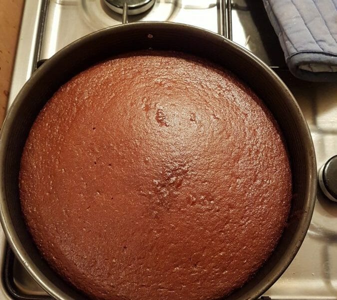 Cliquez pour zoomer ! Gâteau au lait concentré Thermomix par Diane