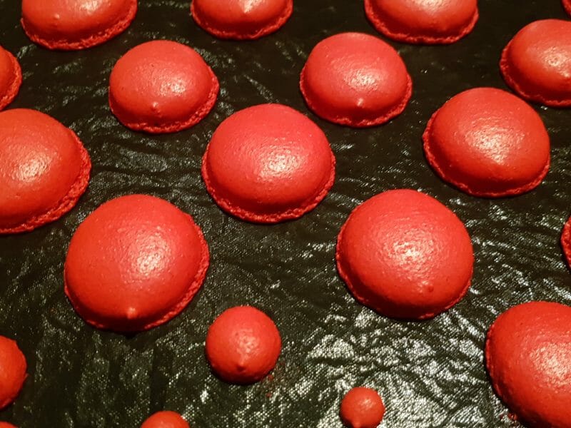Cliquez pour zoomer ! Macarons Thermomix par Lamalou