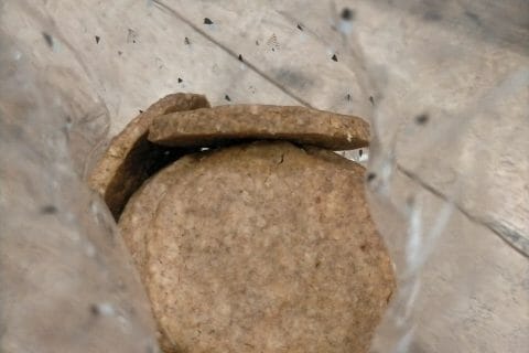 Cliquez pour zoomer ! Hobnobs Thermomix par eleonorekpzk