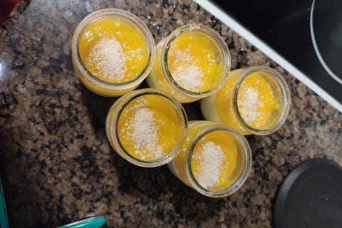 Cliquez pour zoomer ! Panna cotta coco mangue Thermomix par deca40