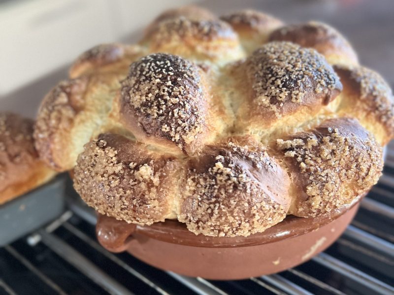 Cliquez pour zoomer ! Brioche Buchty Thermomix par nounoune3412