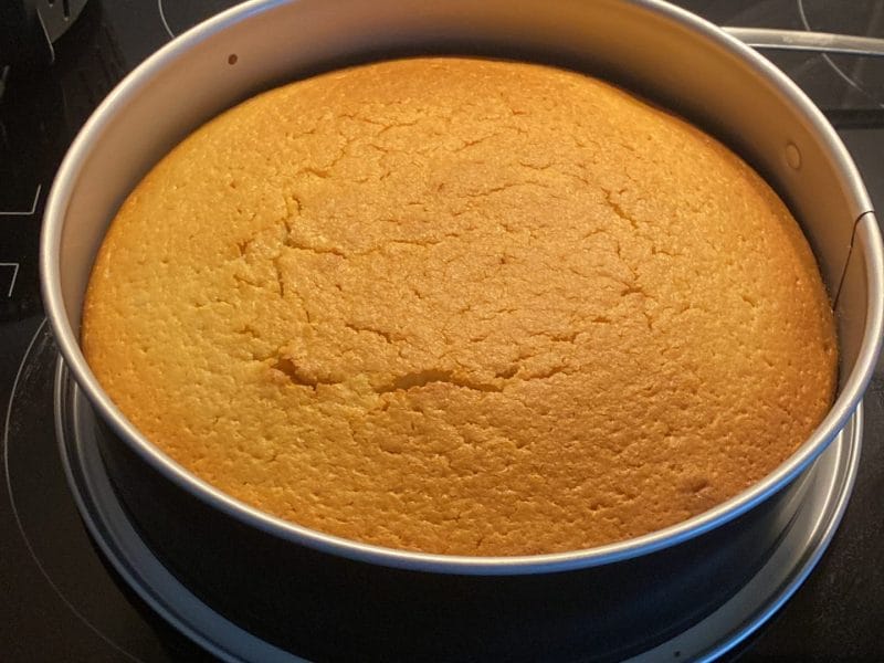 Cliquez pour zoomer ! Gâteau au yaourt Thermomix par gwadolina