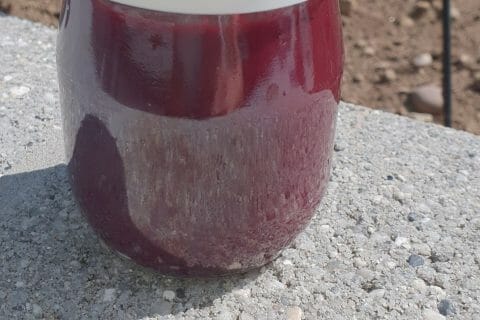 Cliquez pour zoomer ! Compote pommes myrtilles Thermomix par lohalys88