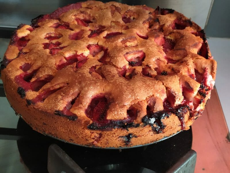 Cliquez pour zoomer ! Gâteau aux fraises Thermomix par Natidread