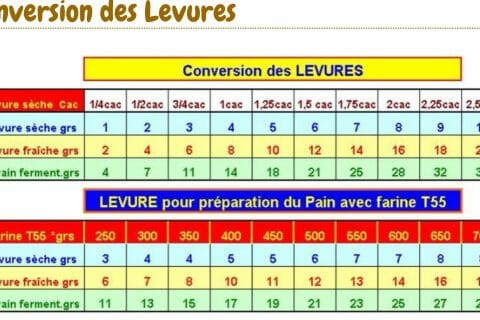 Cliquez pour zoomer ! Photo de Davy Croquettes