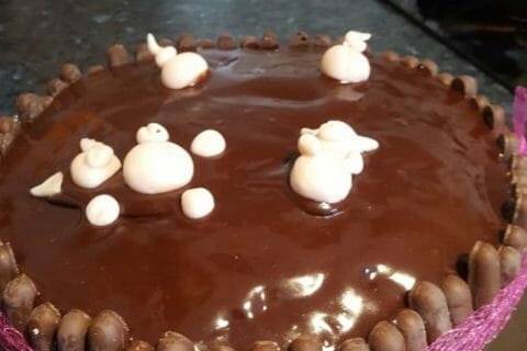 Cliquez pour zoomer ! La mare aux cochons Thermomix par Nathaliejoel