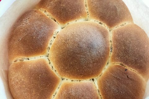 Cliquez pour zoomer ! Photo de mayouya974