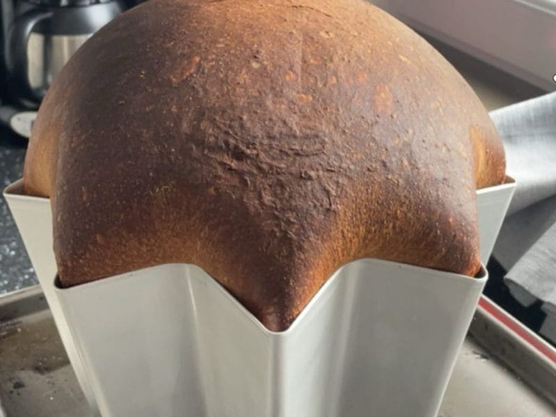 Cliquez pour zoomer ! Pandoro Thermomix par Maryse1310