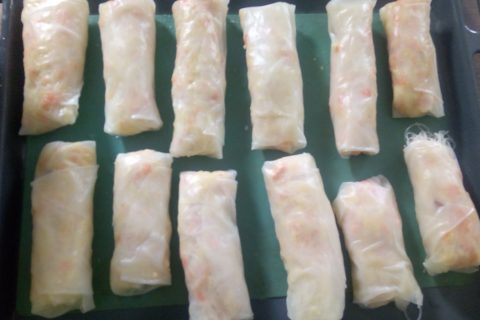 Cliquez pour zoomer ! Nems au poulet Thermomix par let1973