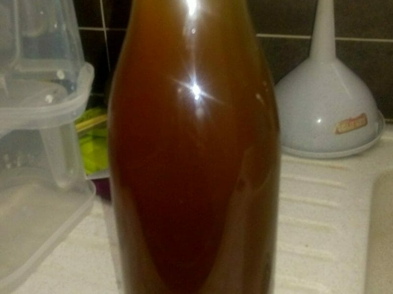 Cliquez pour zoomer ! Sirop de menthe Thermomix par let1973