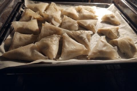 Cliquez pour zoomer ! Samoussas au poulet Thermomix par david8277