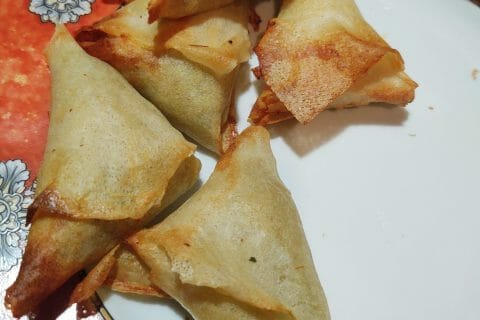 Cliquez pour zoomer ! Samoussas au poulet Thermomix par david8277