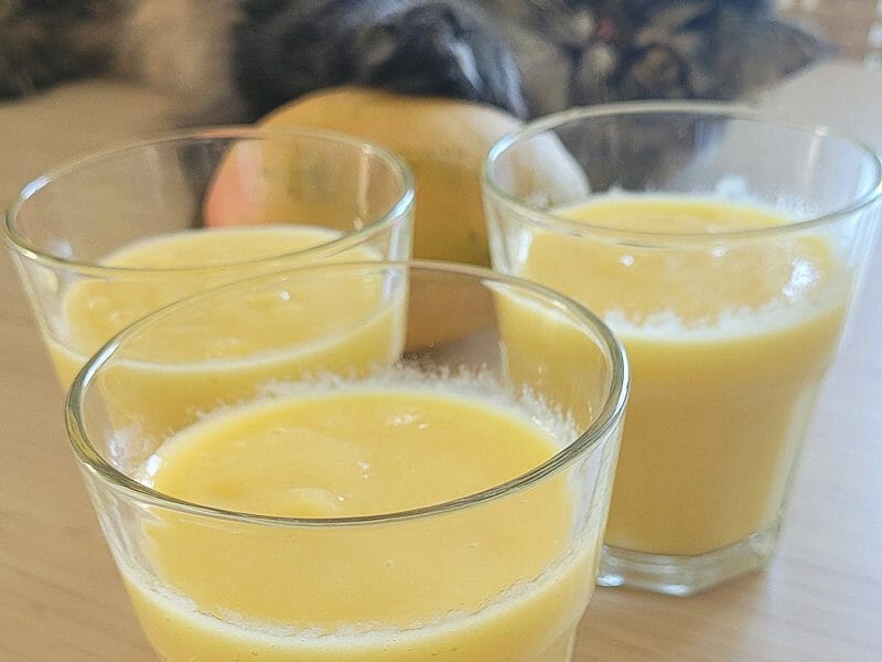 Cliquez pour zoomer ! Smoothie mangue ananas Thermomix par orelieee
