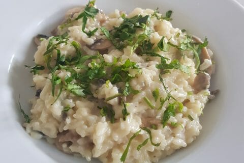 Photos des recettes