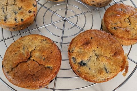 Photos des recettes