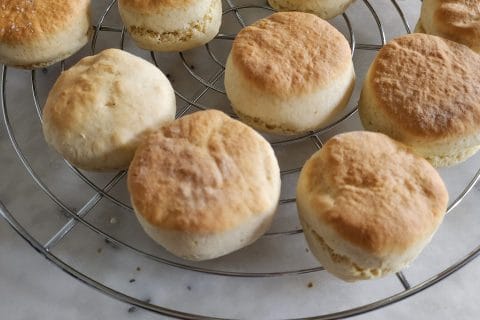 Photos des recettes