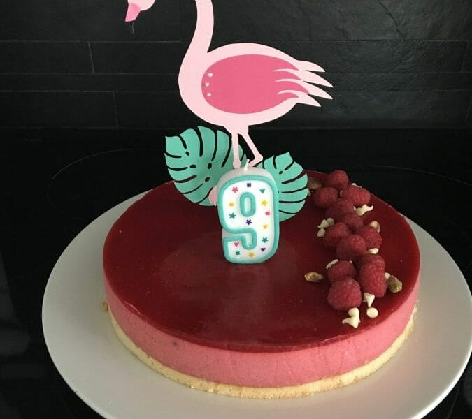 Cliquez pour zoomer ! Bavarois aux framboises Thermomix par Charlicook