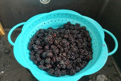 Cliquez pour zoomer ! Confiture de mûres Thermomix par EminaLi