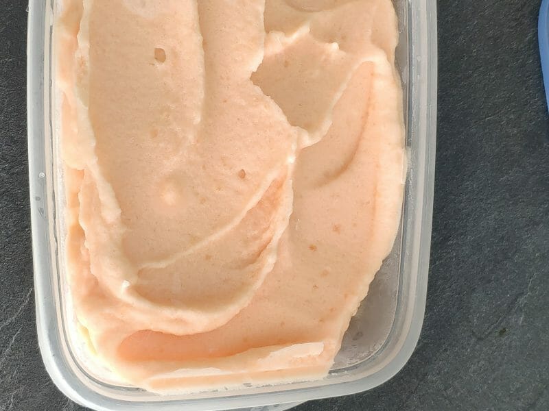 Sorbet melon au Thermomix Cookomix