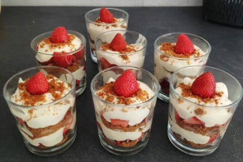 Cliquez pour zoomer ! Tiramisu aux framboises et spéculoos au Thermomix