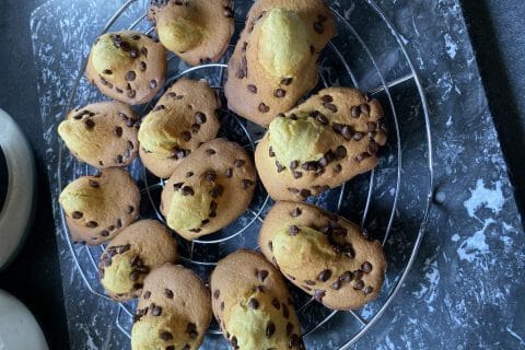 Cliquez pour zoomer ! Photo de butterflyd84