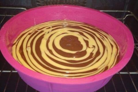 Cliquez pour zoomer ! Gâteau zébré Thermomix par Jennydenizet40