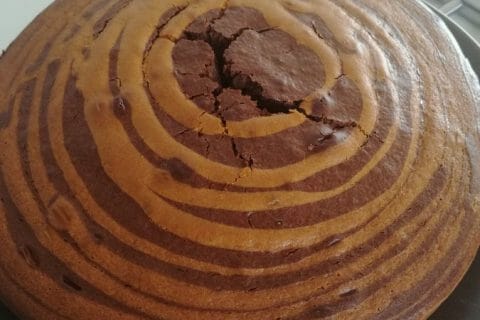 Cliquez pour zoomer ! Gâteau zébré Thermomix par Jennydenizet40