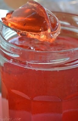 Cliquez pour zoomer ! Gelée de coings façon Cotignac Thermomix par Madnath