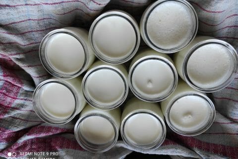 Yaourt Au Varoma Au Thermomix Cookomix Yaourt Au Varoma Au Thermomix Cookomix