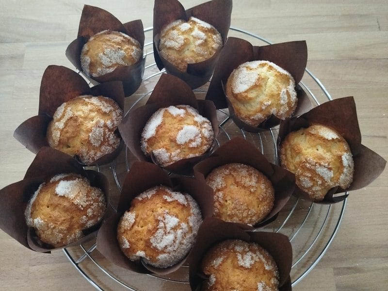 Cliquez pour zoomer ! Magdalenas – Madeleines espagnoles Thermomix par gregfunk