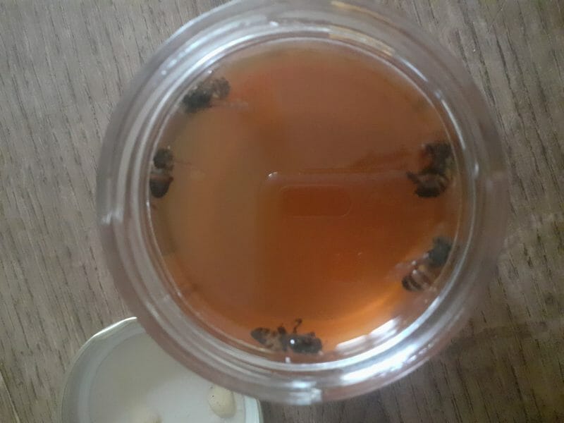 Cliquez pour zoomer ! Nonnettes Thermomix par nini2276