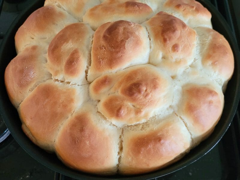 Cliquez pour zoomer ! Brioche Buchty Thermomix par jennifer_509