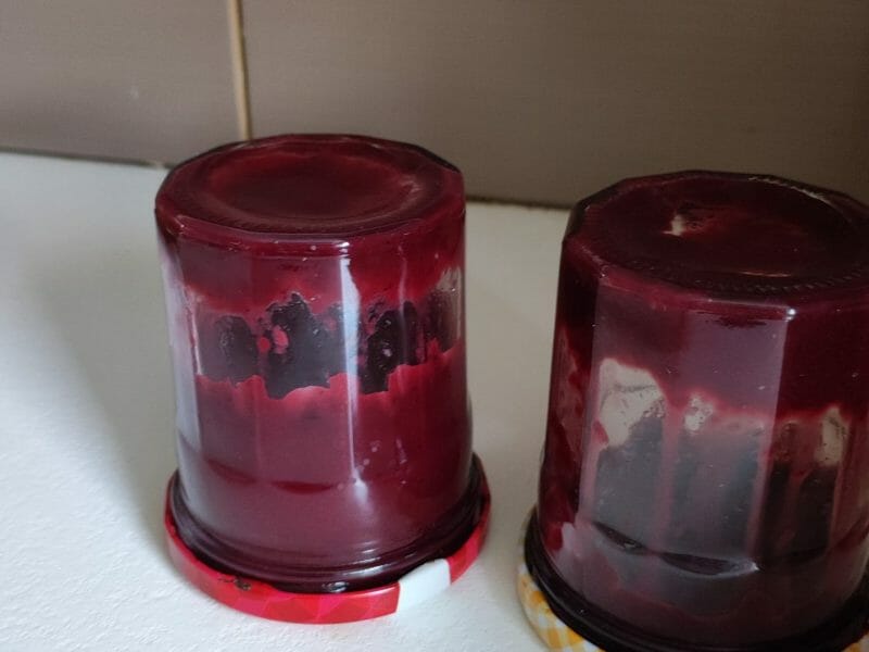 Cliquez pour zoomer ! Compote pommes myrtilles Thermomix par leels