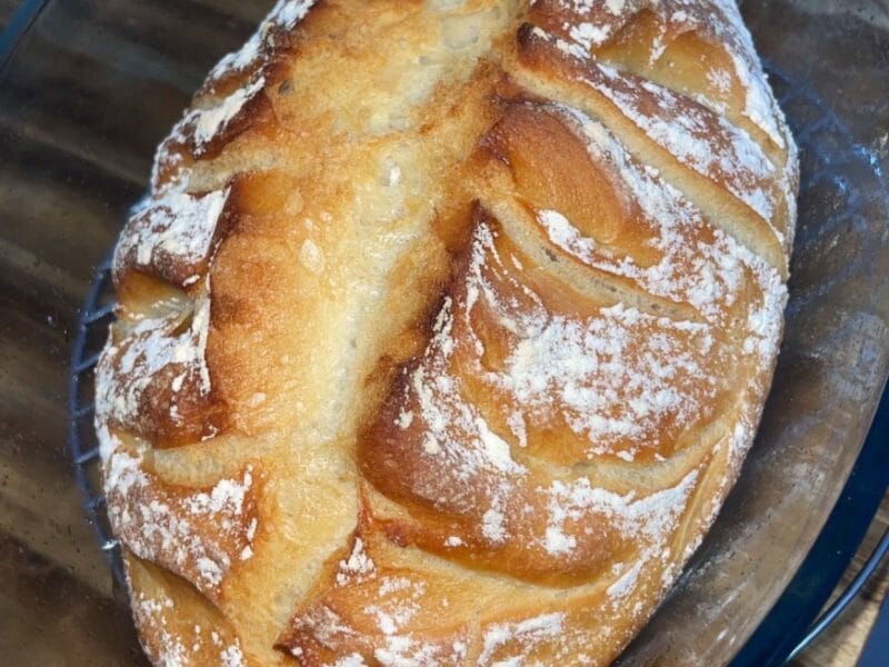 Cliquez pour zoomer ! Pain Cocotte Thermomix par mel60