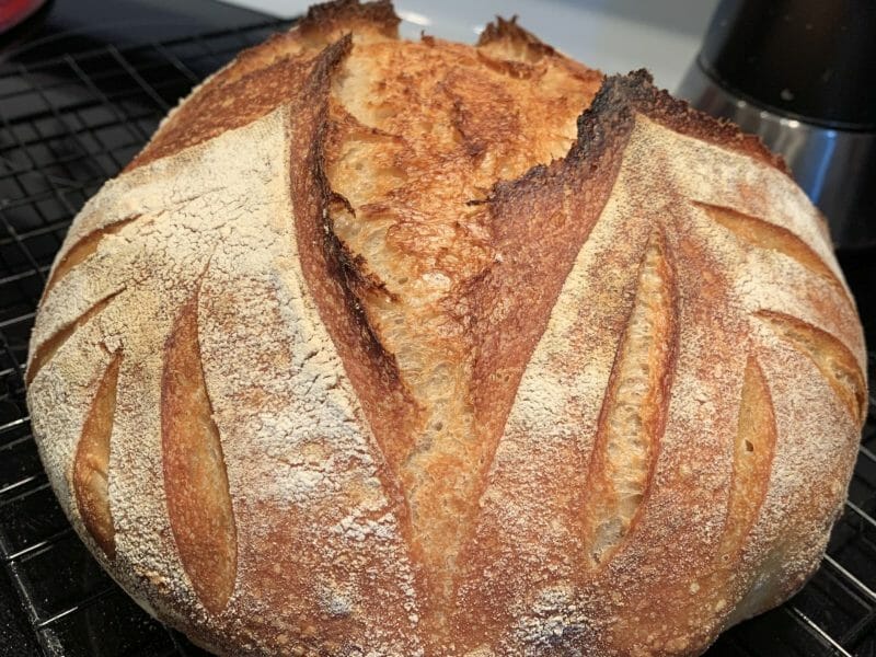 Cliquez pour zoomer ! Pain Cocotte Thermomix par jessika_201