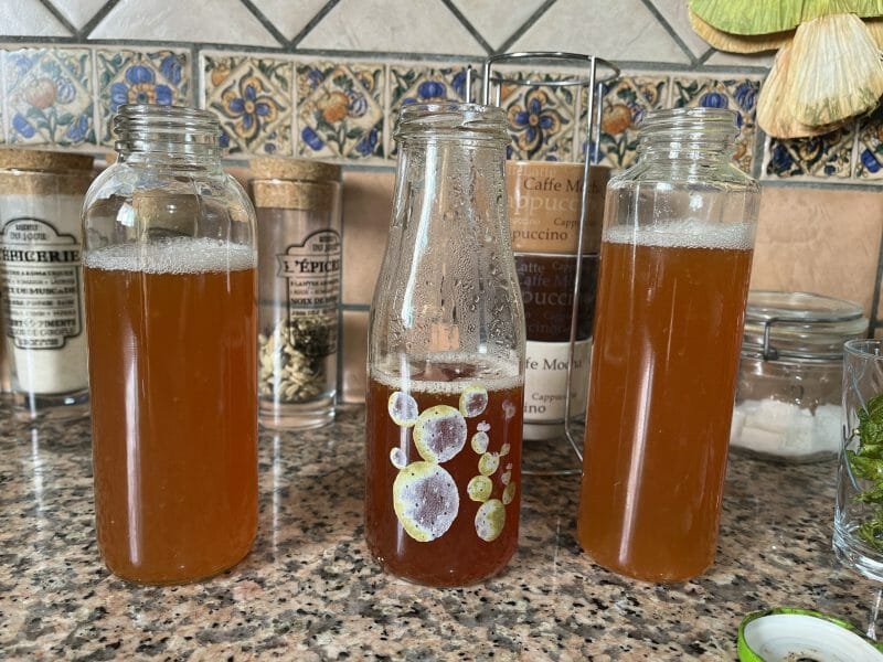 Cliquez pour zoomer ! Sirop de thé glacé – Ice tea citron menthe Thermomix par bounboun