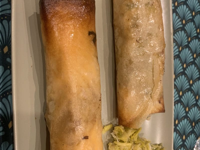 Cliquez pour zoomer ! Brick de saumon et poireaux Thermomix par carogourmande