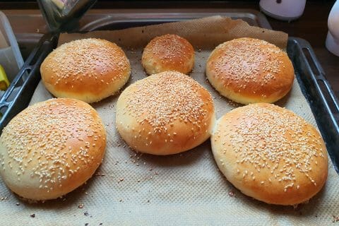 Cliquez pour zoomer ! Pains hamburger Thermomix par Neptunya