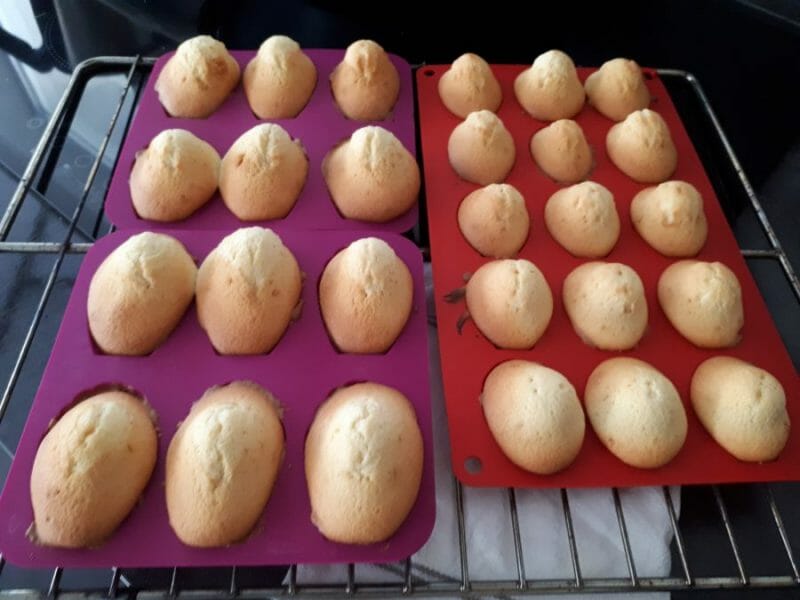 Cliquez pour zoomer ! Madeleines Thermomix par Aurelieaurelia