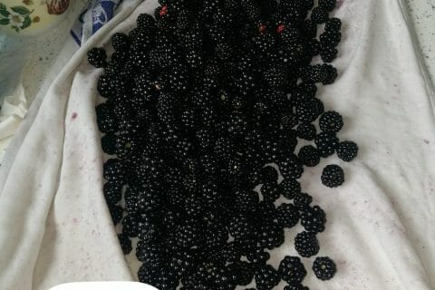 Cliquez pour zoomer ! Confiture de framboises et de mûres Thermomix par elocin_1