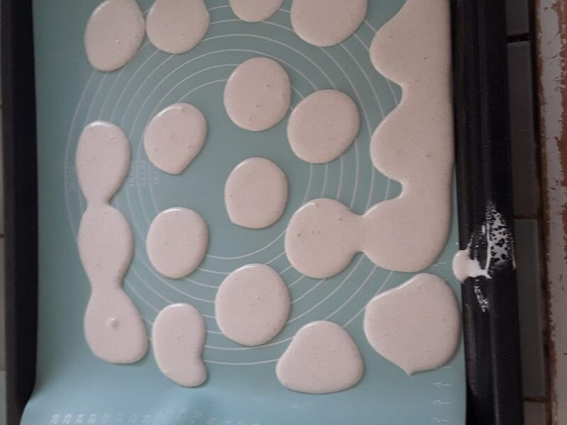 Cliquez pour zoomer ! Macarons Thermomix par Brigitte 🌸