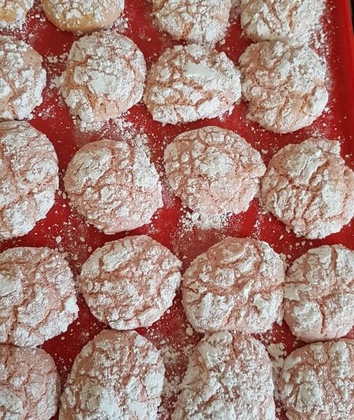 Cliquez pour zoomer ! Craquelés aux biscuits roses de Reims Thermomix par vanvan4480