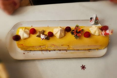 Cliquez pour zoomer ! Bûche glacée mangue et framboise Thermomix par pascale B.