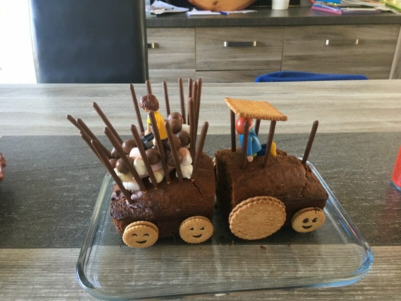 Cliquez pour zoomer ! Marbré au chocolat Thermomix par loony59