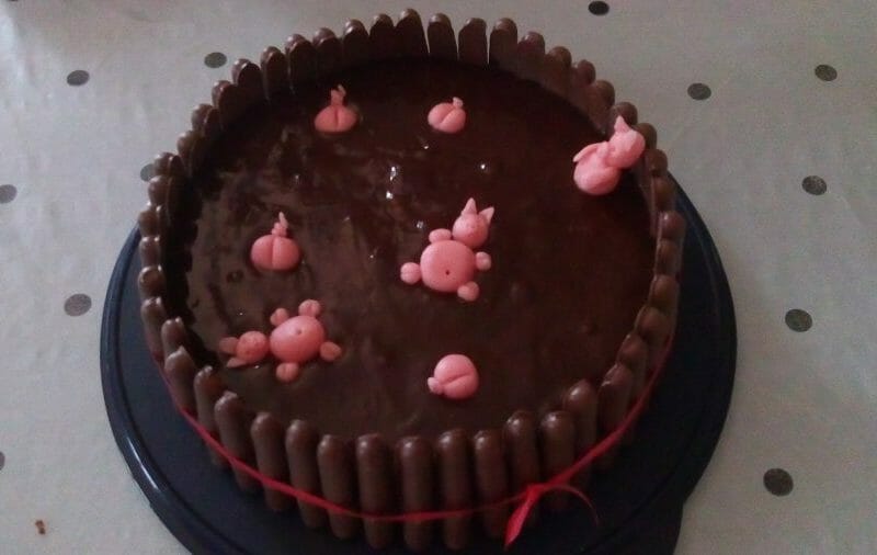 Cliquez pour zoomer ! La mare aux cochons Thermomix par Cmonreve