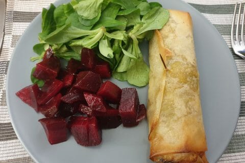 Cliquez pour zoomer ! Brick de saumon et poireaux Thermomix par Laura0605
