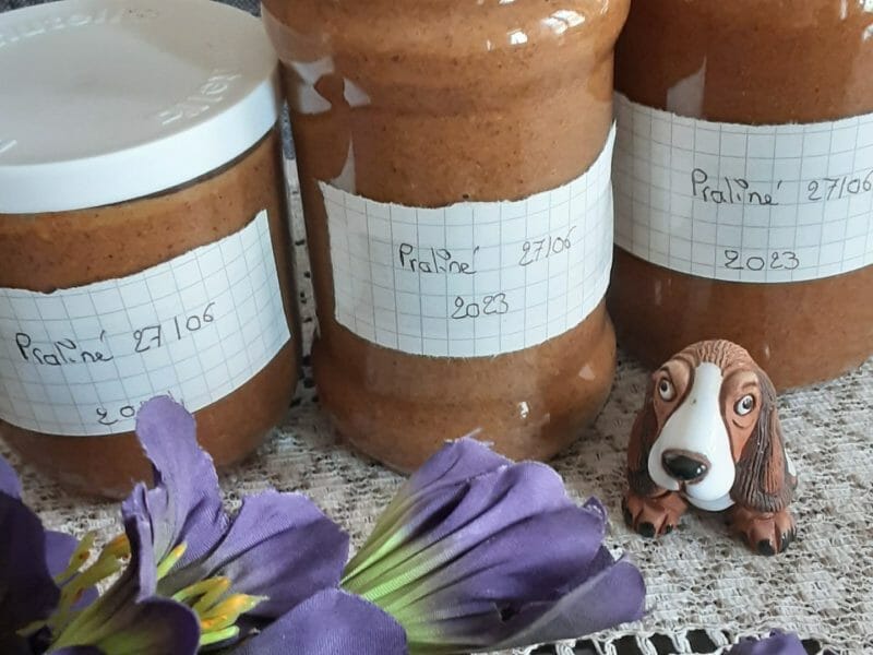 Cliquez pour zoomer ! Pâte de praliné Thermomix par mitzie