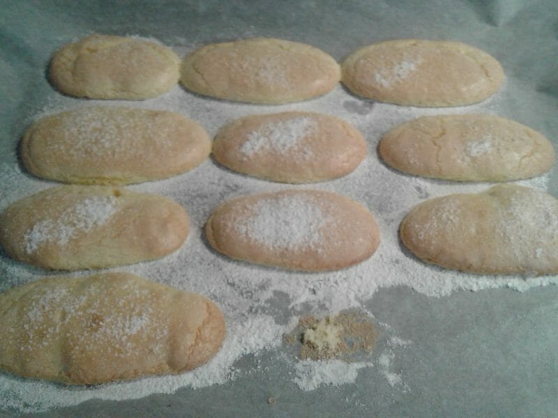 Cliquez pour zoomer ! Biscuits à la cuillère Thermomix par Cyril26